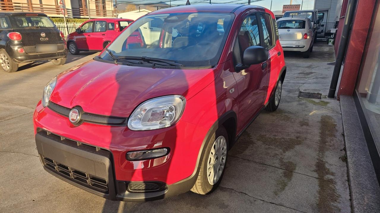 Fiat Panda 1.0 FireFly S&S Hybrid