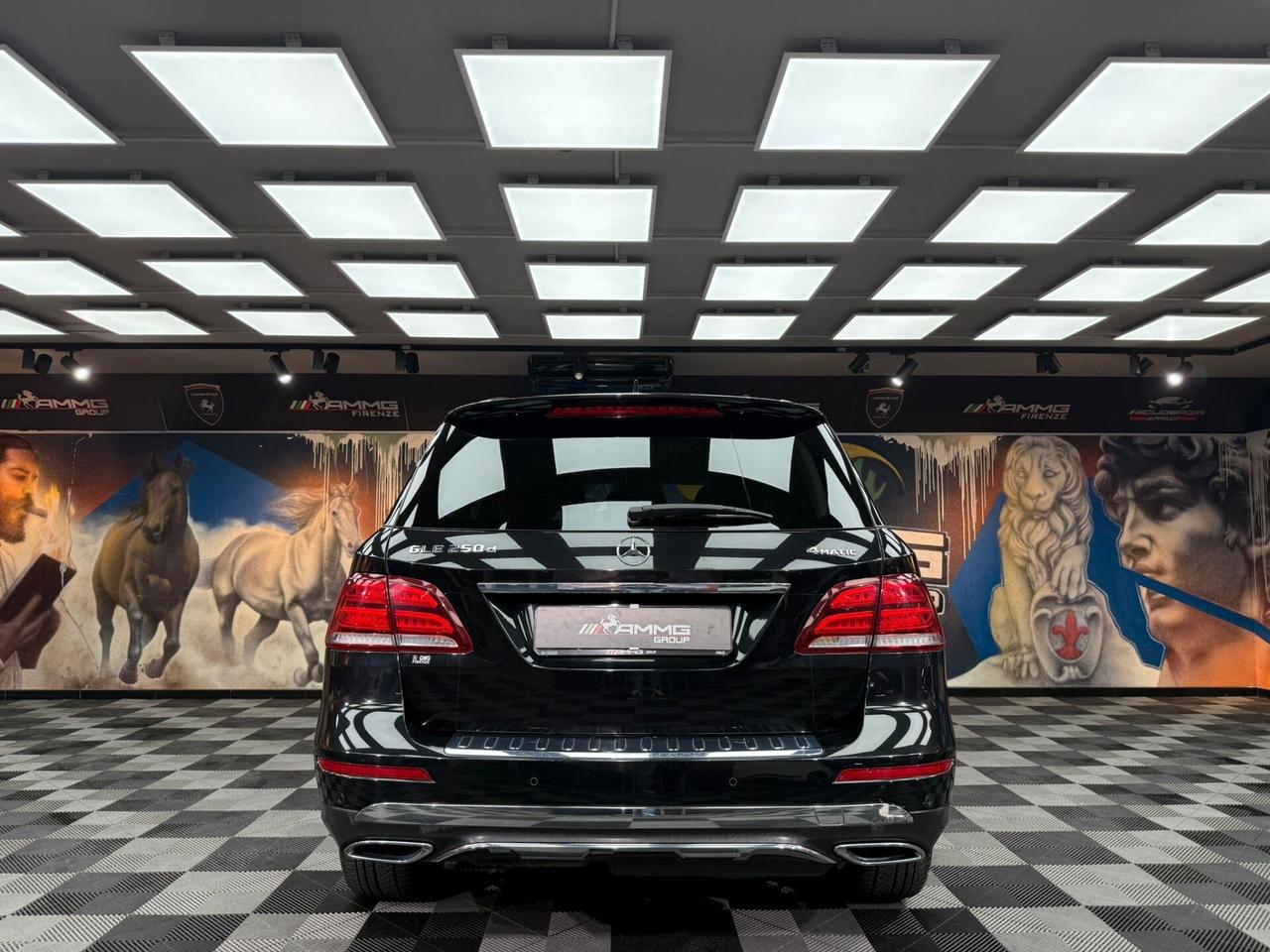 Mercedes-benz GLE 250 d 4Matic Premium Plus (932)