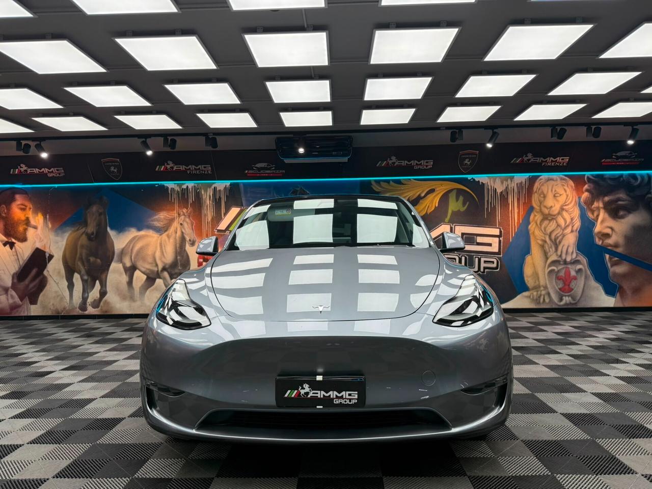 Tesla Model Y Long Range ADW (337)