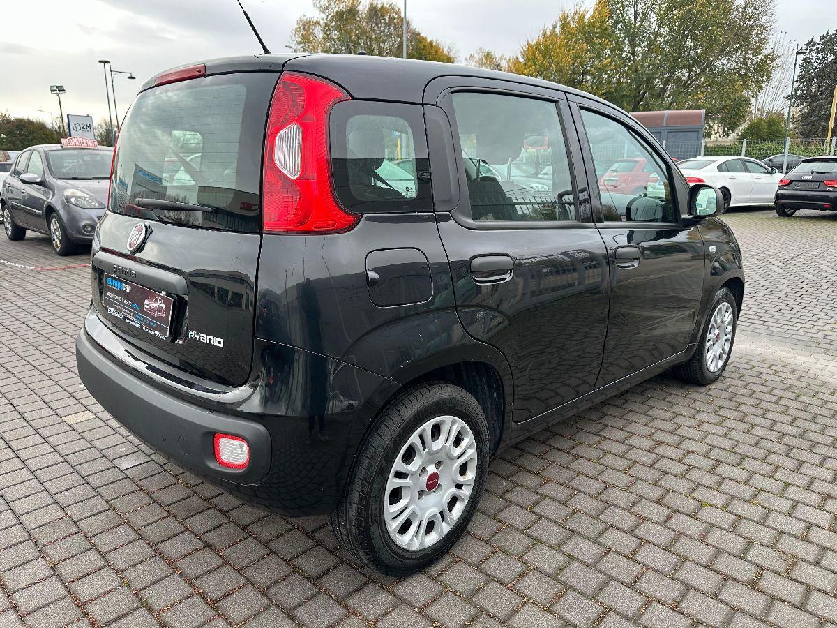 FIAT - Panda - 1.0 FireFly S&S Hybrid Easy