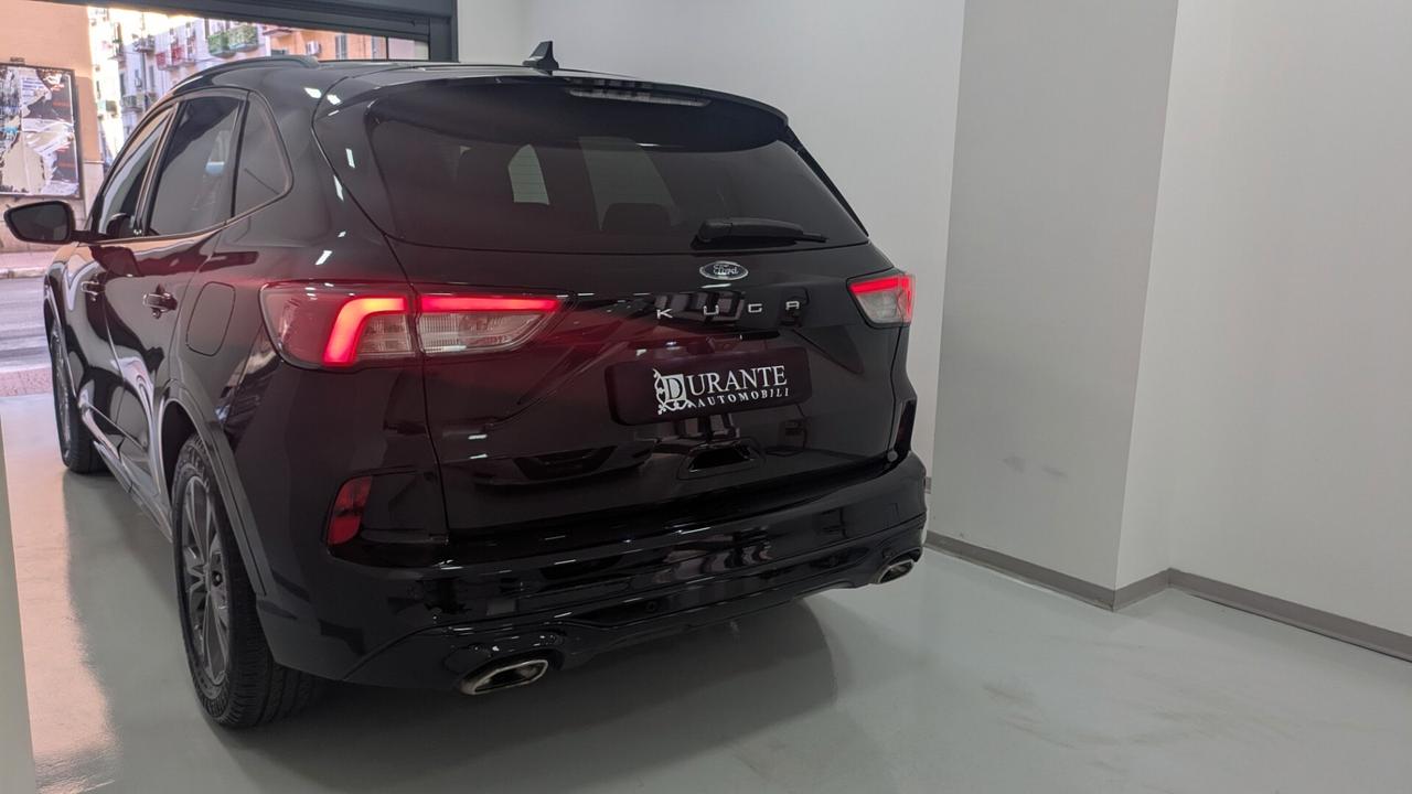 Ford Kuga 1.5 EcoBlue 120 CV aut. 2WD ST-Line
