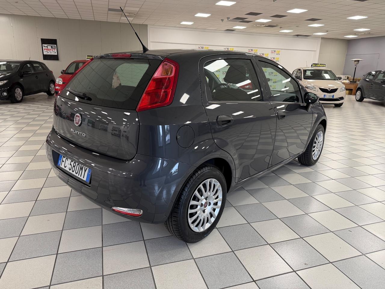 Fiat Punto 1.2 8V 5 porte Street Neopatentati