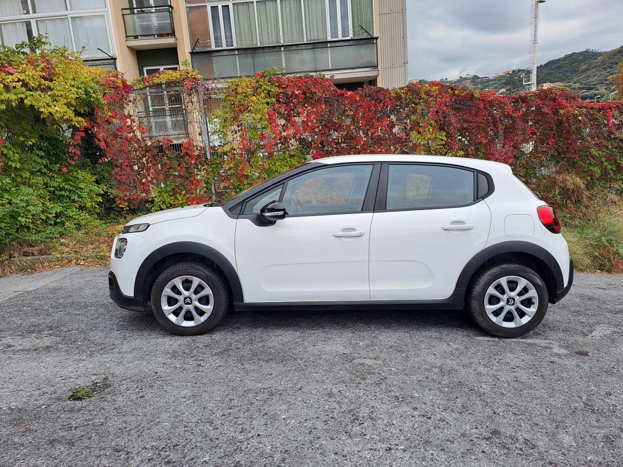 CITROEN C3 1.5 BlueHDi 100cv S&S Van Feel