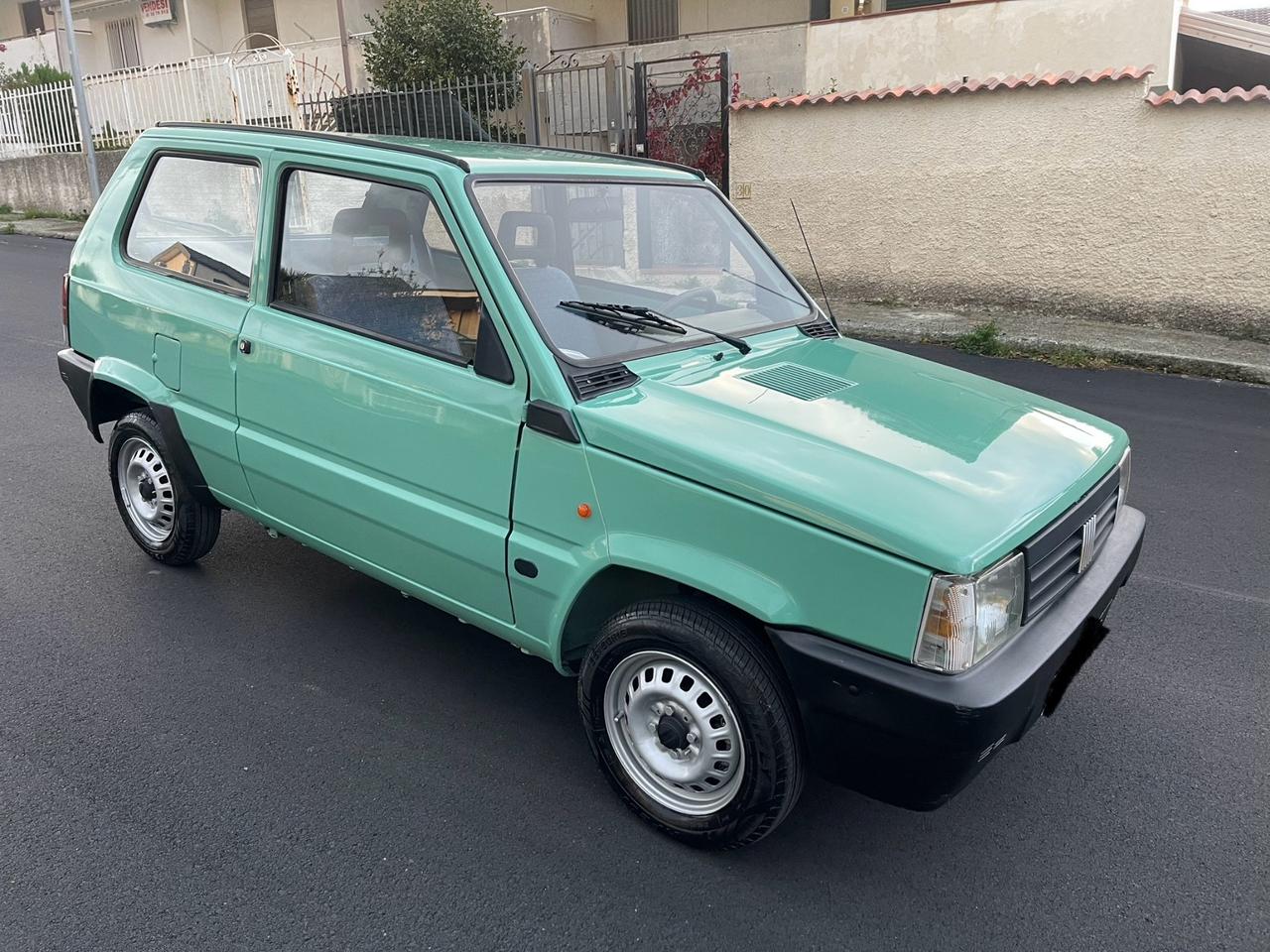 Fiat Panda 1100 i.e. cat Young