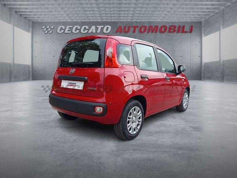 FIAT Panda Panda 1.0 firefly hybrid s&s 70cv