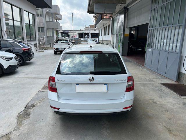 SKODA Octavia 1.6 TDI CR 115 CV Wagon Ambition