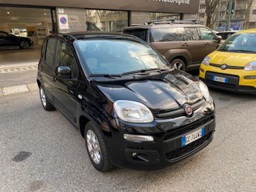 FIAT Panda 3ª serie Panda 1.2 Lounge