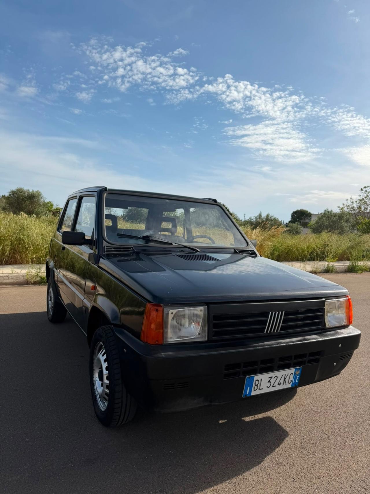 Fiat Panda 900 i.e. cat Young