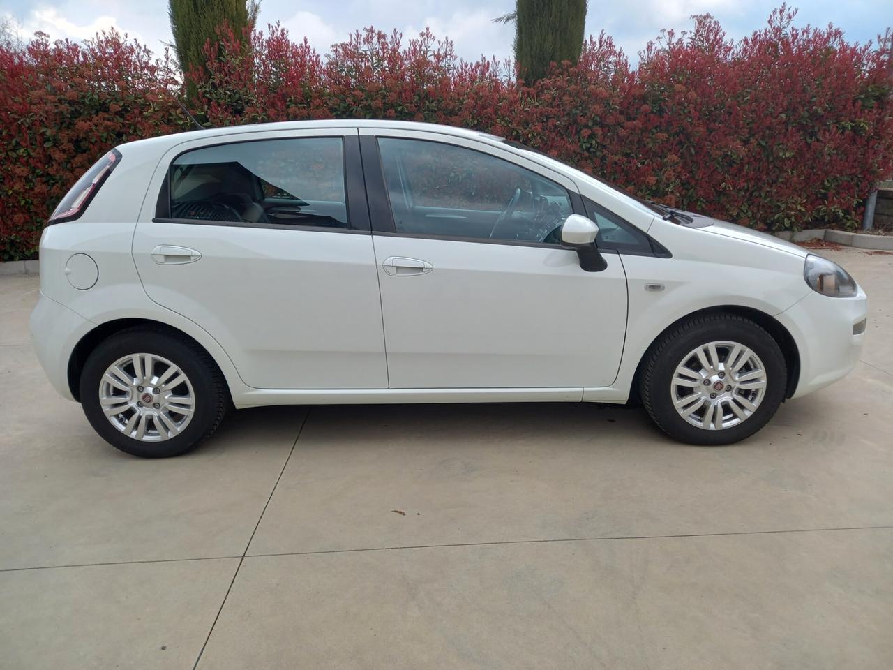 Fiat Punto 1.3 MJT II 75 CV 5 porte Lounge