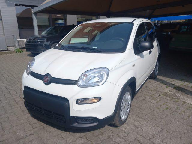 FIAT Panda 1.0 FireFly S&S Hybrid con ADAS Pack