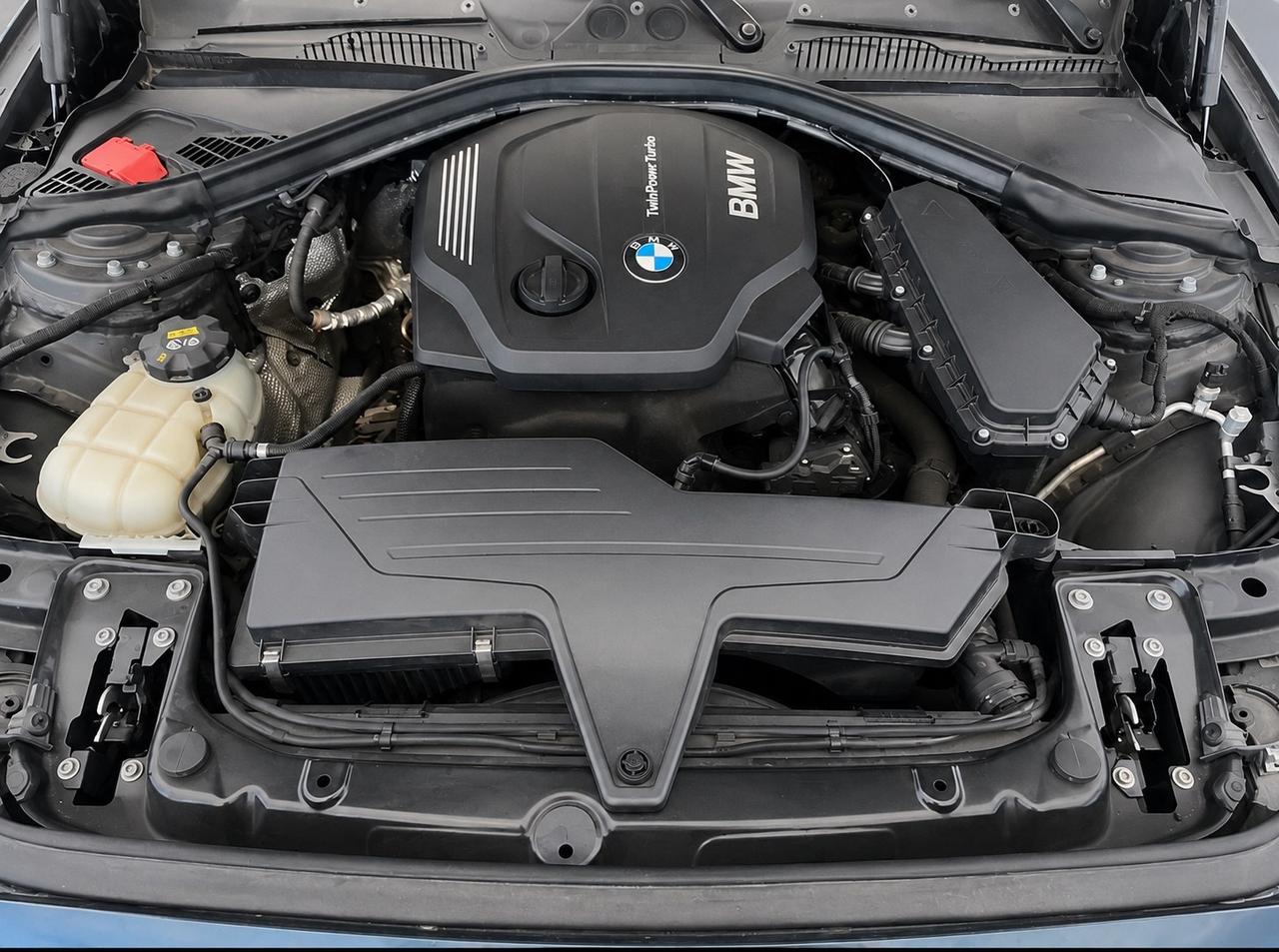 Bmw 116 116d 5p. Advantage tagliandi digitali