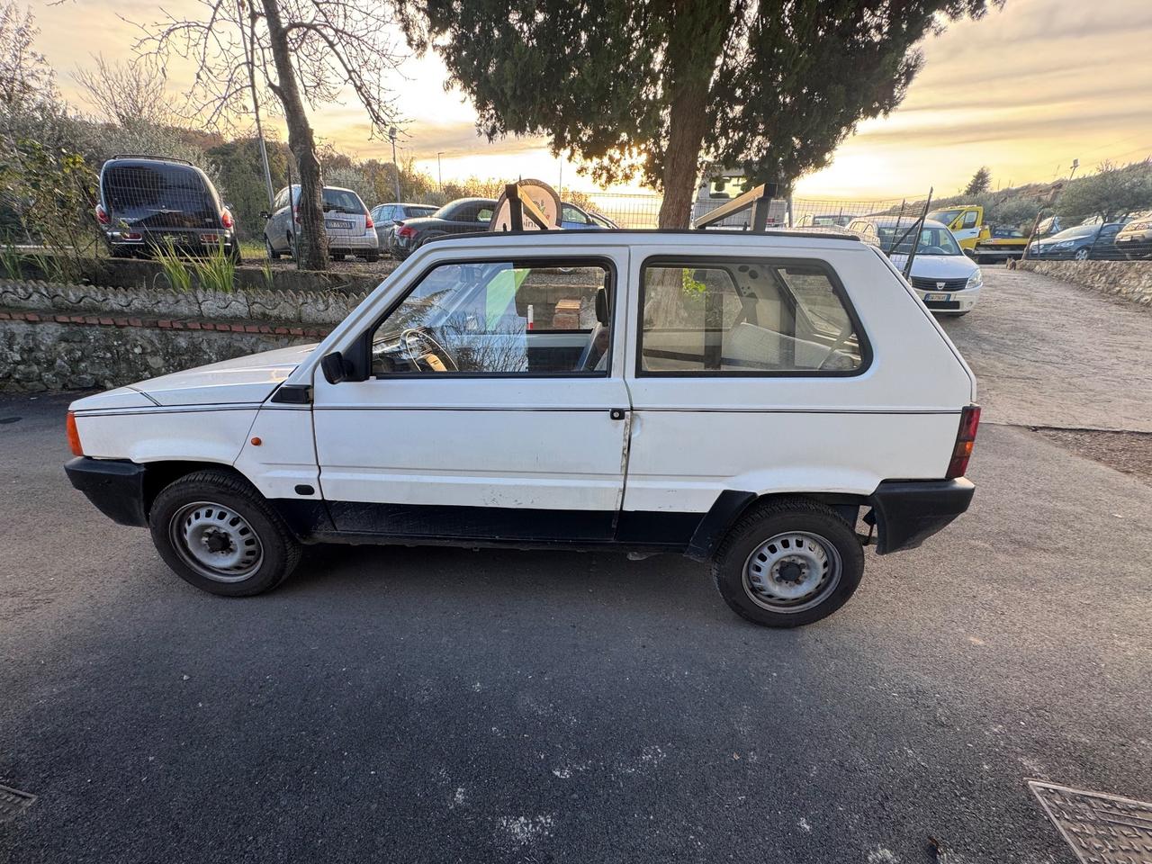 Fiat Panda 1100 i.e. cat Young