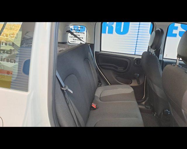 FIAT Panda 1.0 firefly hybrid Icon s&s 70cv