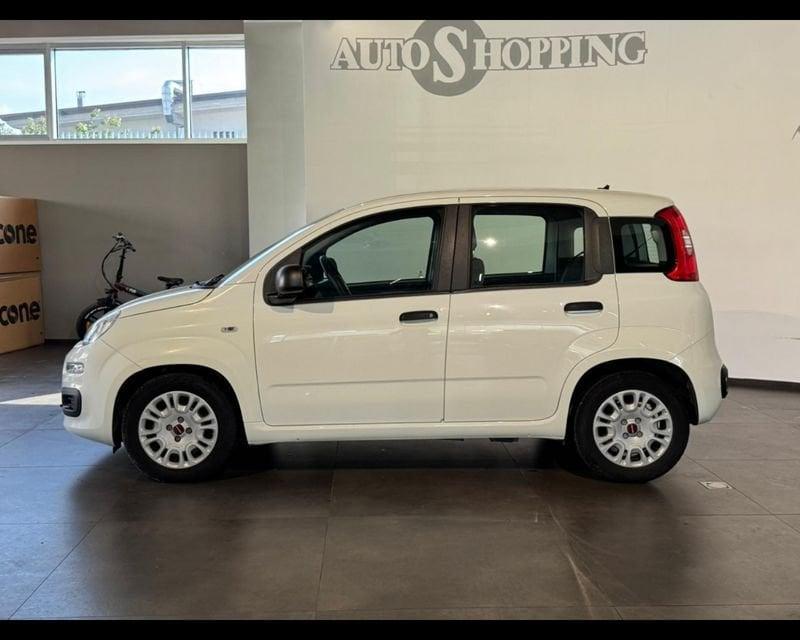 FIAT Panda 3ª serie 1.0 FireFly S&S Hybrid