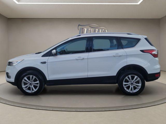 FORD Kuga 2.0 TDCI 120 CV S&S 2WD Powershift Business
