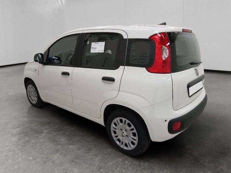 FIAT Pandina 1.0 firefly hybrid Icon s&s 70cv 5p.ti
