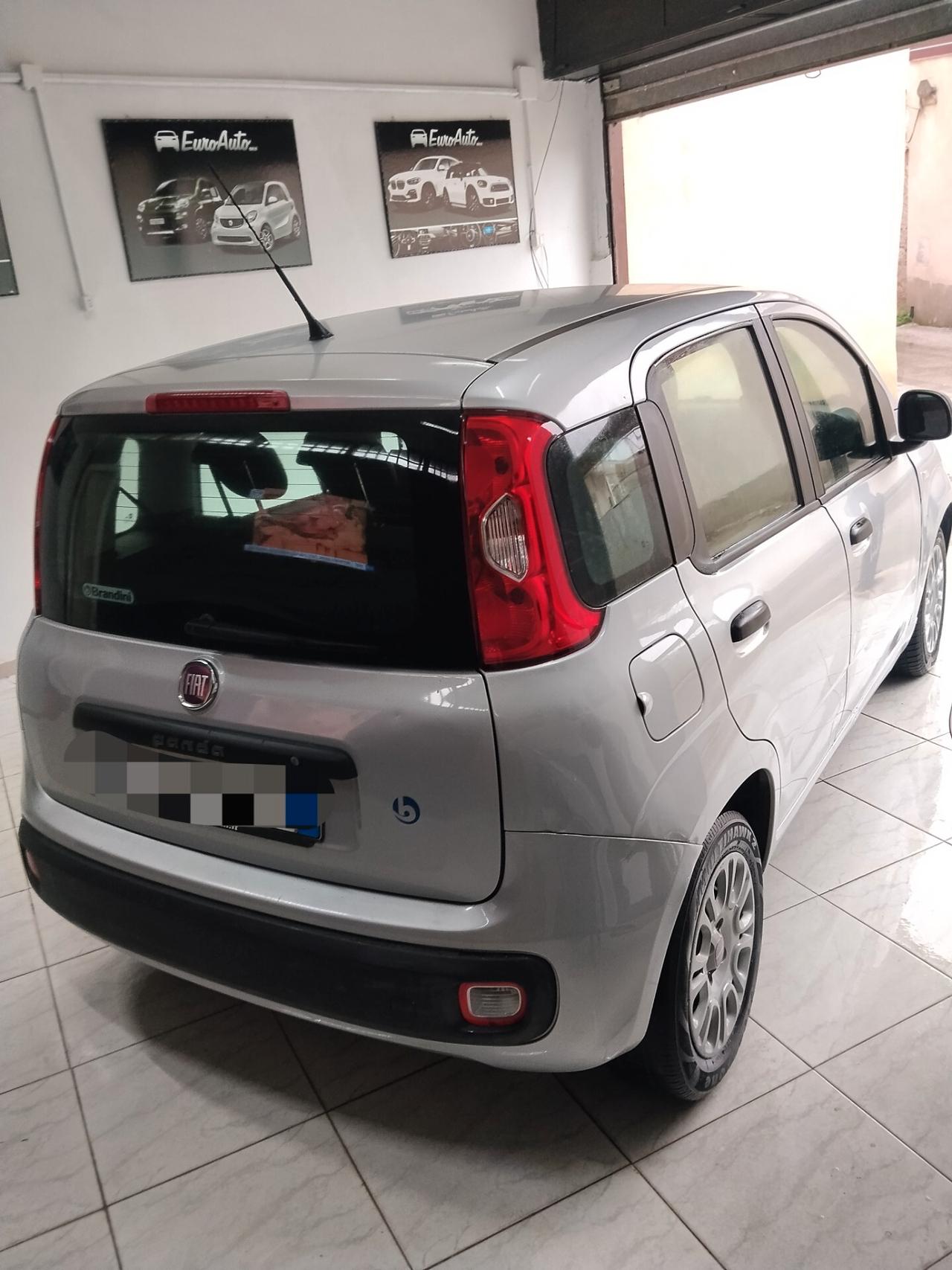 Fiat Panda 1.2 Benzina 2016 CON GARANZIA