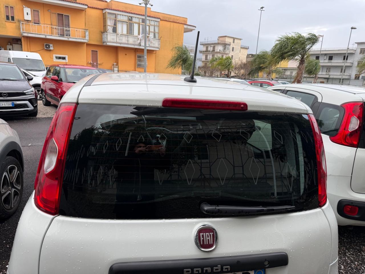 Fiat Panda 1.2 Easy Van 4 posti