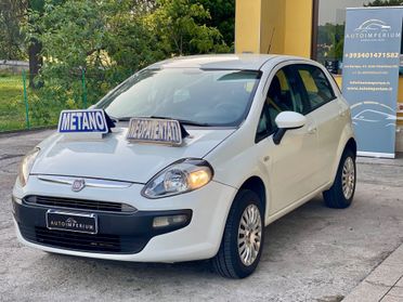 Fiat Punto Evo 1.4 NatPower OK NEOPATENTATI UNIPROP