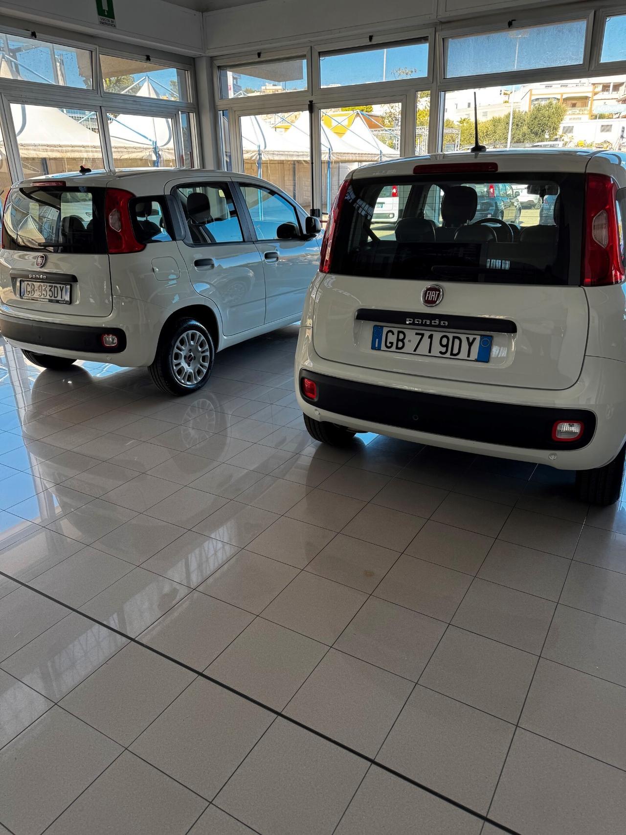 DISPONIBILE 10 FIAT - PANDA 1.2 -BZ FULL OTIONAL