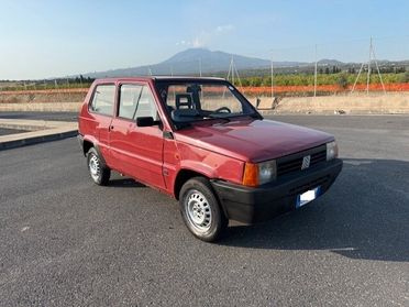Fiat Panda 1100 i.e. cat Hobby