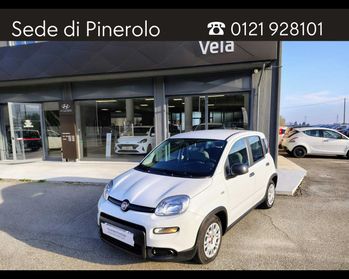 FIAT Panda III 2021 - Panda 1.0 firefly hybrid s&s 70cv