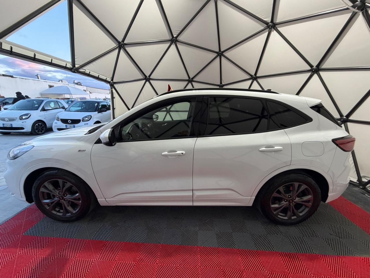 Ford Kuga 1.5 EcoBlue 120 CV 2WD ST-Line