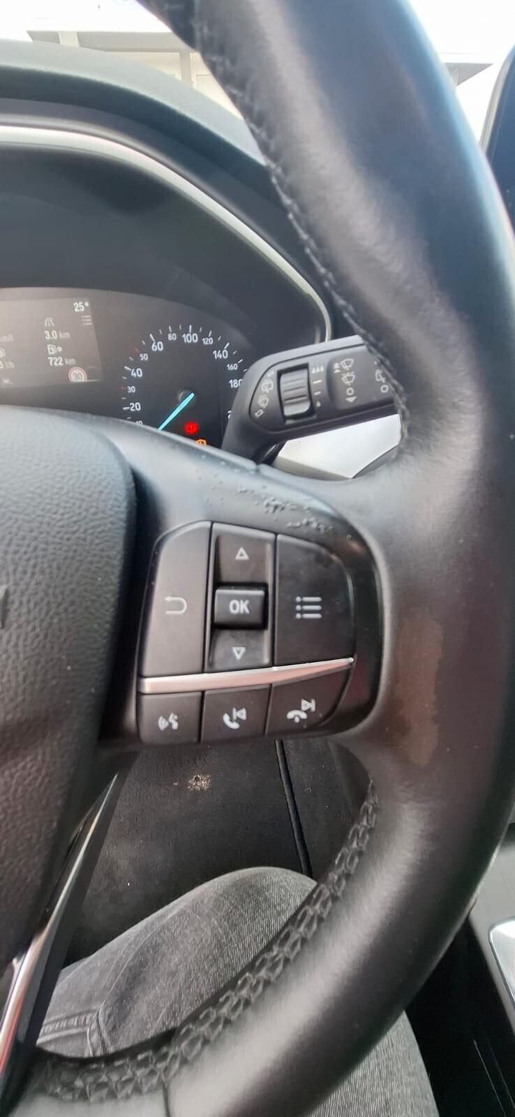 Ford Focus 1.5 EcoBlue 120 CV automatico 5p. Business Co-Pilot