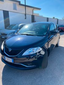 Lancia Ypsilon 1.2 69 CV 5 porte Platinum