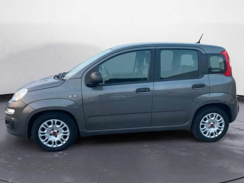 FIAT Panda 1.0 firefly hybrid City Life 70cv