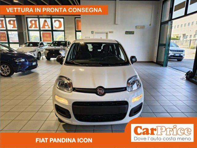 FIAT Pandina 1.0 FireFly 65CV Hybrid Icon (5 Posti)