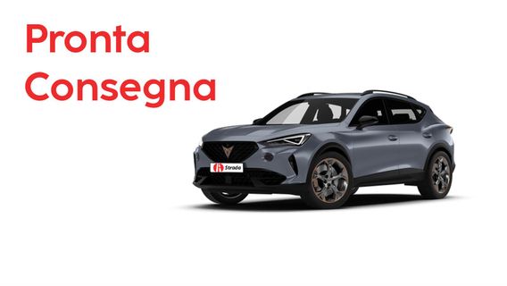 PRONTA CONSEGNA - CUPRA Formentor 2.0 TDI 4Drive DSG