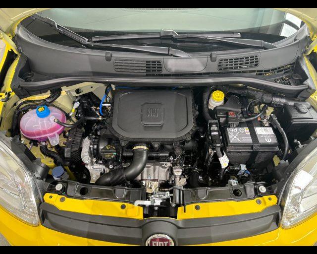 FIAT Pandina 1.0 firefly hybrid Icon s&s 65cv