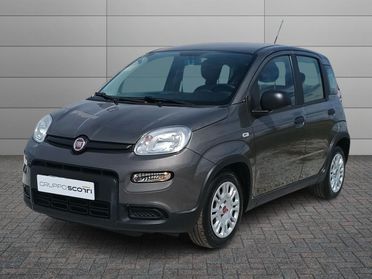 FIAT Panda 1.0 firefly hybrid s&s 70cv 5p