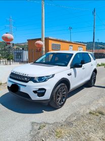Land Rover Discovery Sport Discovery Sport 2.0 TD4 150 CV Auto Business Edition Pure
