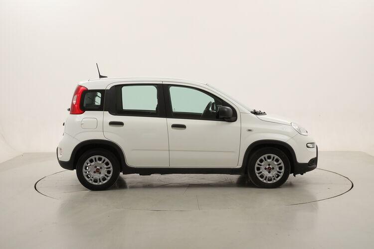Fiat Panda Hybrid BR055926 1.0 Mild Hybrid 70CV