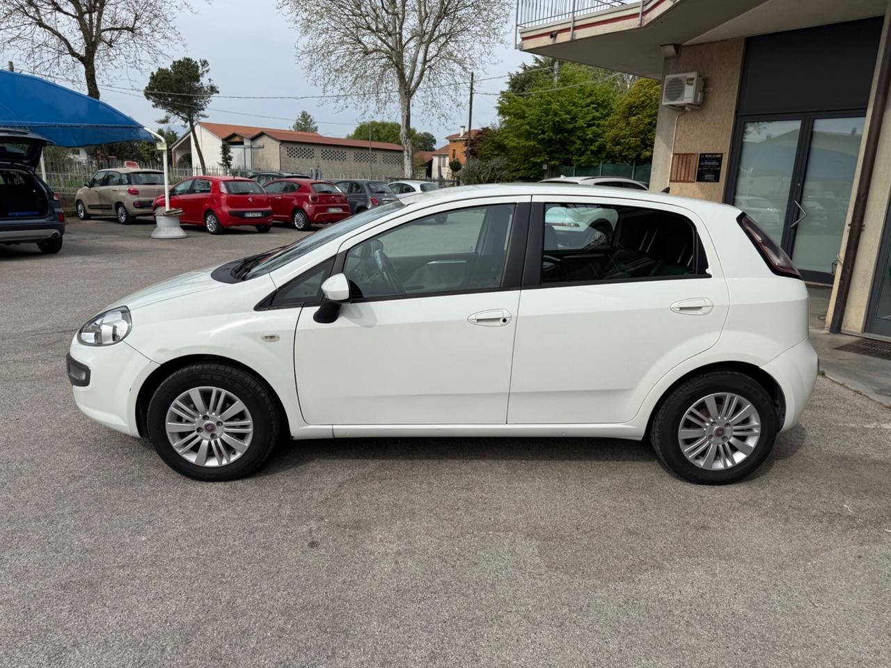 Fiat Punto Evo 1.4 5 porte - OK Neopatentati