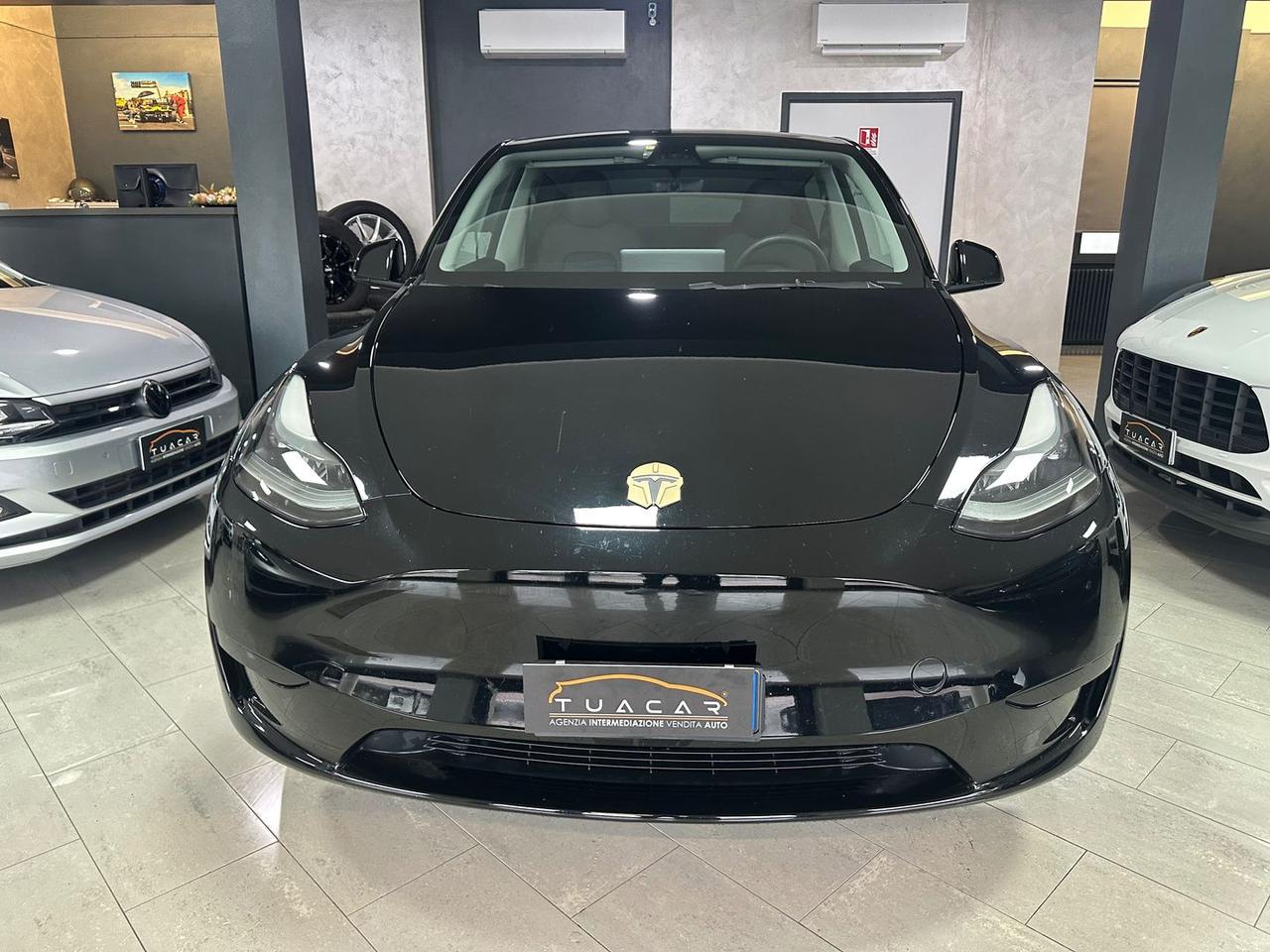 Tesla Model Y STANDARD RANGE SINGLE MOTOR RW #8363