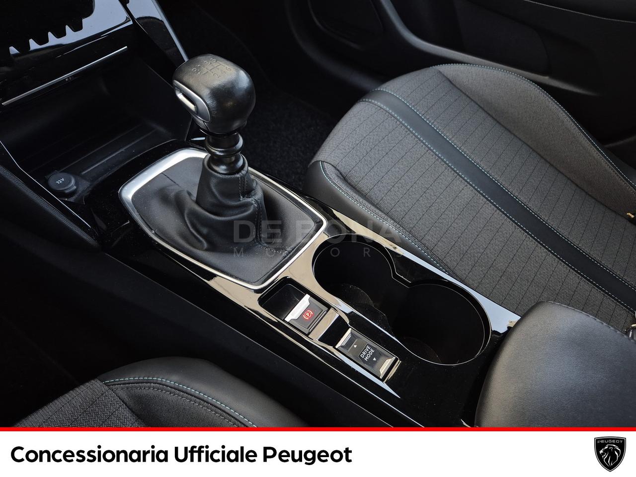 Peugeot 208 1.5 bluehdi allure pack s&s 100cv