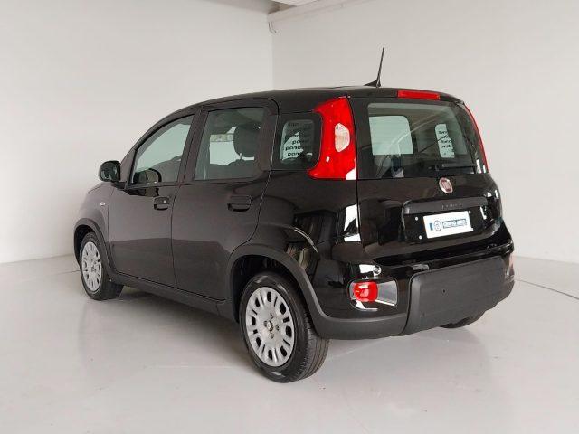 FIAT Panda 1.0 FireFly S&S Hybrid Pandina