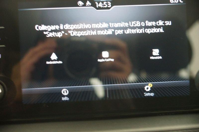 Skoda Kamiq Kamiq 1.0 TSI 110 CV DSG Ambition