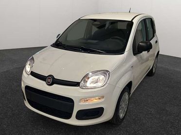 Fiat Panda Panda 1.0 hybrid Easy *KM0*