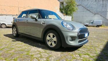 MINI ONE D