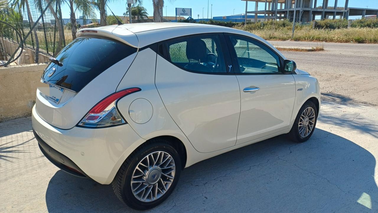 Lancia Ypsilon 1.3 MJT 16V 95 CV 5 porte S&S Platinum