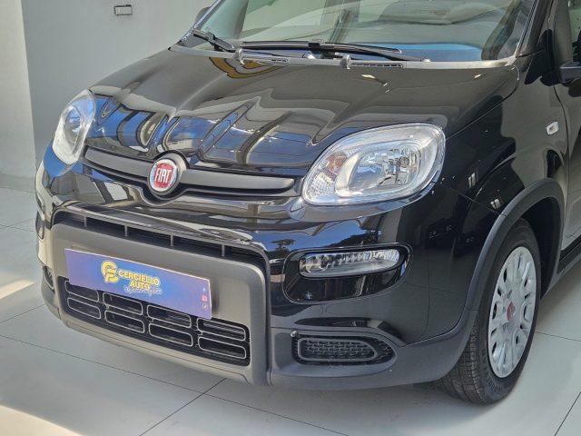 FIAT Panda 1.0 FireFly S&S Hybrid tua da ?139,00 mensili