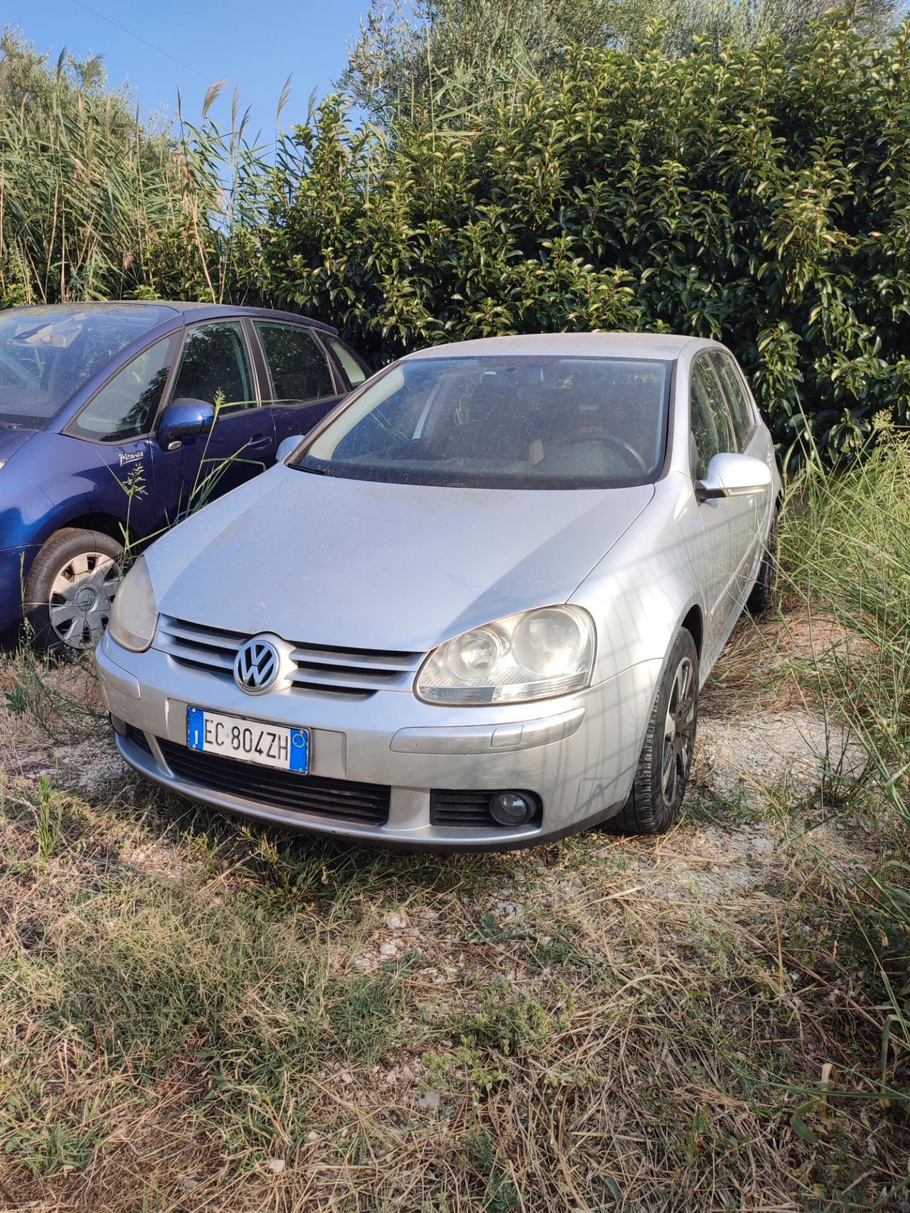 Volkswagen Golf 1.9 TDI 5p. - PER COMMERCIANTI