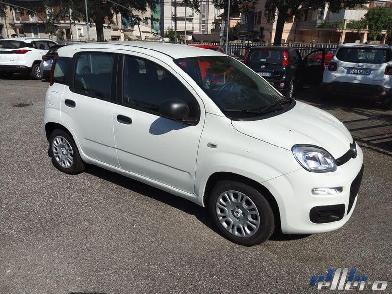 FIAT Panda MY25 1.0 70cv Hybrid