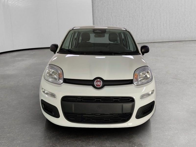 FIAT Pandina 1.0 firefly hybrid Icon s&s 70cv