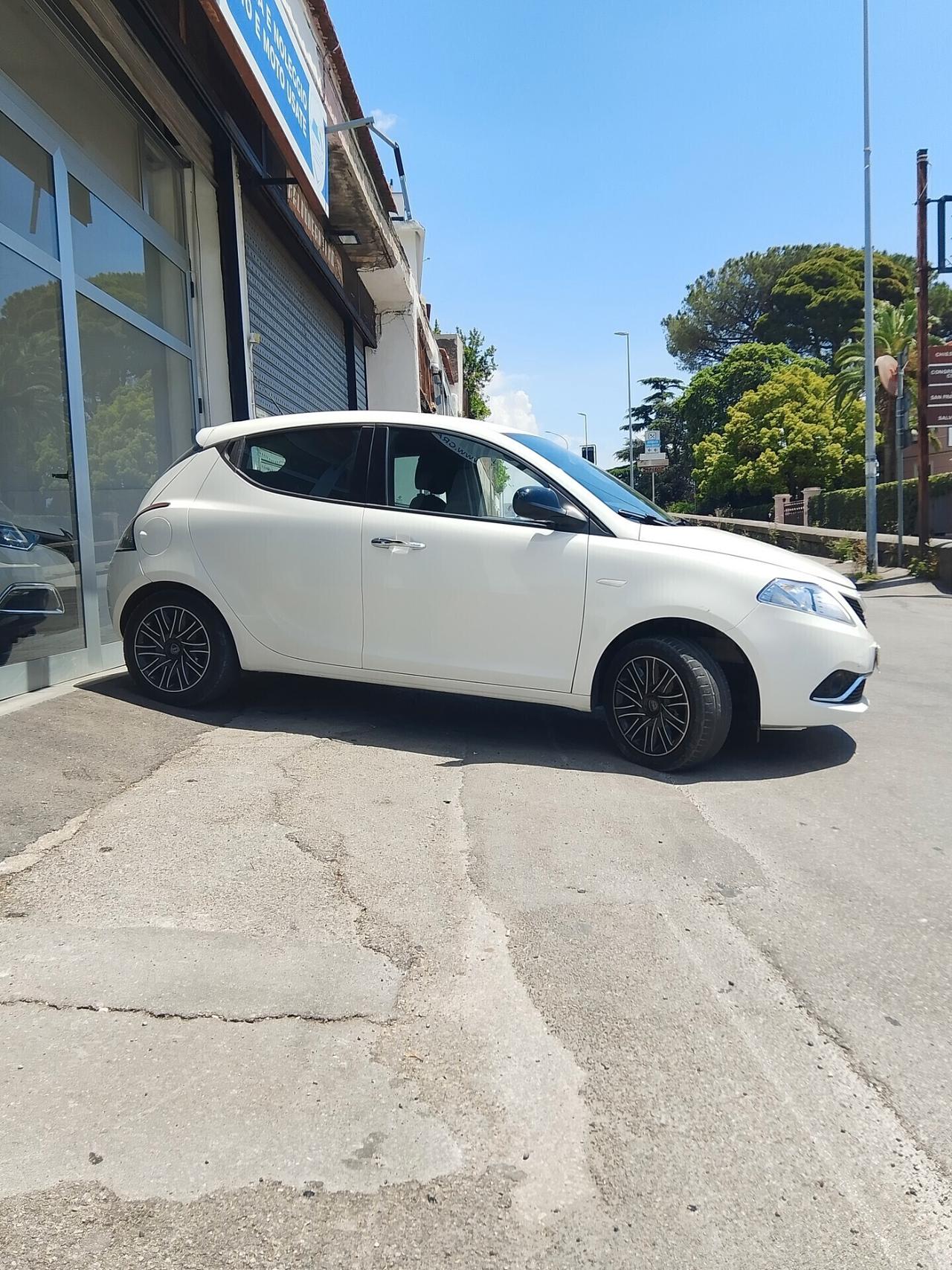 Lancia Ypsilon 1.2 69 CV 5 porte S&S Platinum