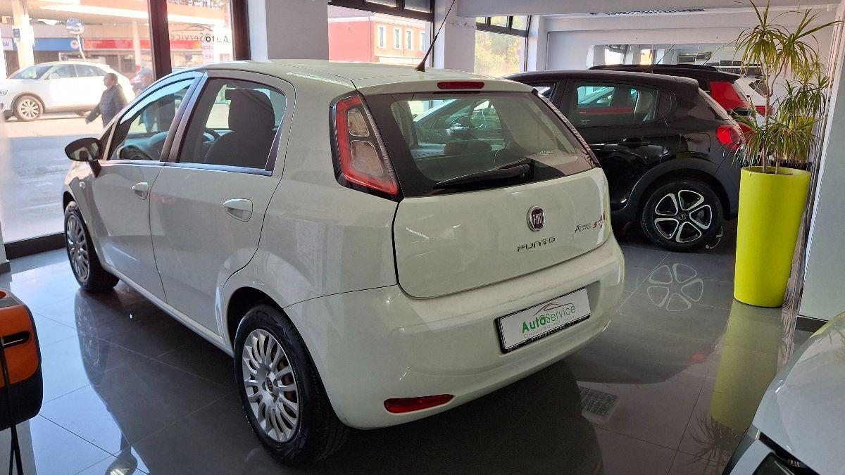 FIAT - Punto - 1.2 8V 5p. Street